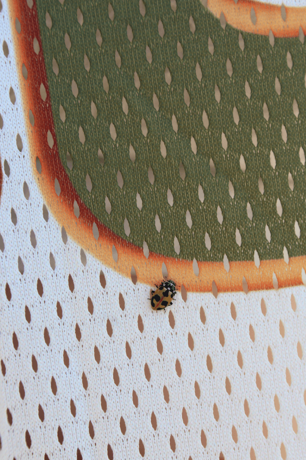 Green and Orange Cropped Sporty Jersey with Number 5