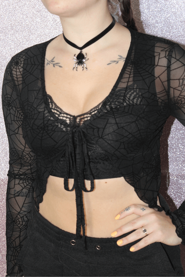 Sheer Spiderweb Flutter Long Sleeve Tie Front Top